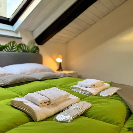 Apartamento Urban Green, Inalpi Arena - Lingotto - Stadio Olimpico - Centro *