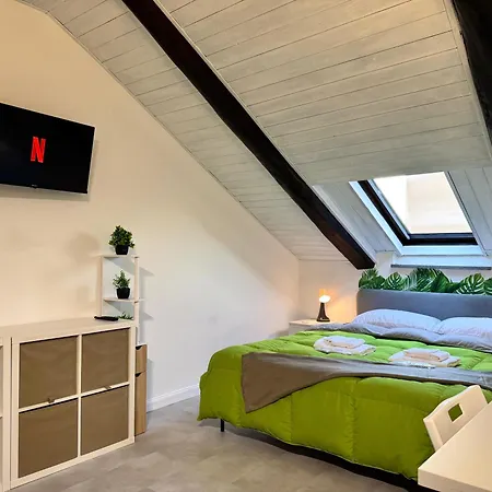 Urban Green, Inalpi Arena - Lingotto - Stadio Olimpico - Centro *