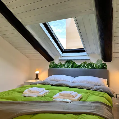 Urban Green, Inalpi Arena - Lingotto - Stadio Olimpico - Centro *