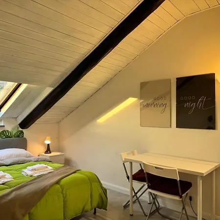 Urban Green, Inalpi Arena - Lingotto - Stadio Olimpico - Centro 都灵